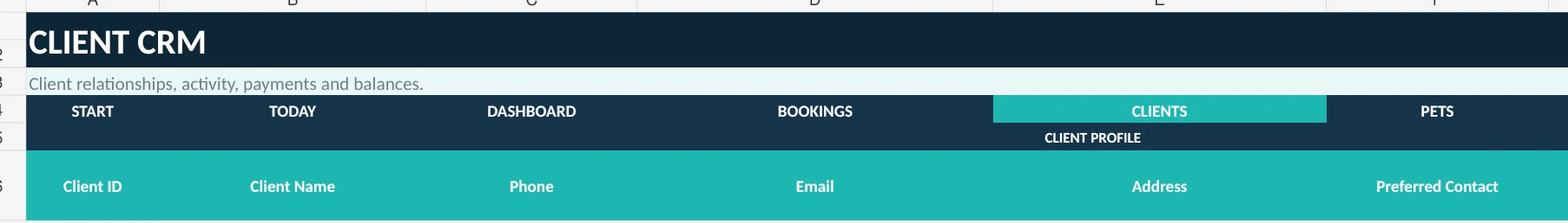 Real SellerFuture Client CRM sheet