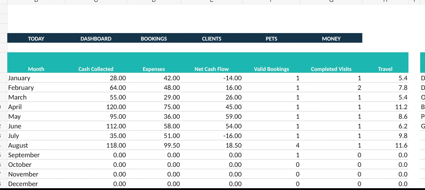SellerFuture V5 Reports worksheet with example data